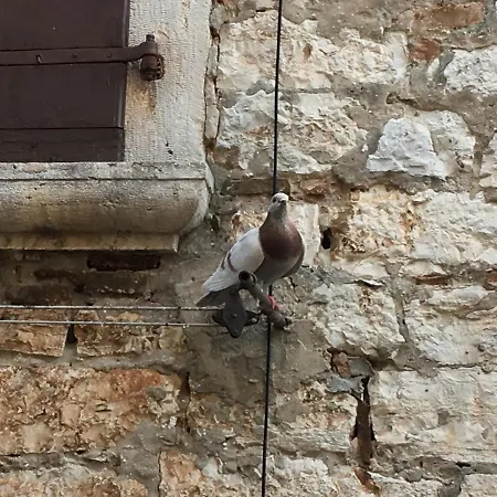 Studio Pomali * Rovinj